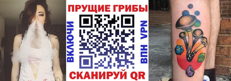 Купить где  Шадринск  Галлюциногенные грибы прущие грибы 